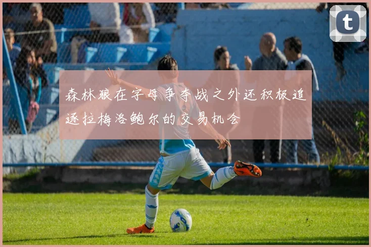 森林狼在字母争夺战之外还积极追逐拉梅洛鲍尔的交易机会