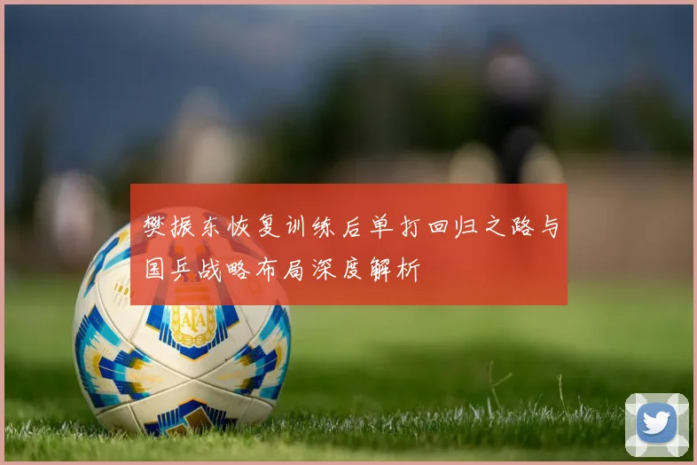 樊振东恢复训练后单打回归之路与国乒战略布局深度解析